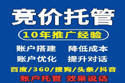 电商平台信息流广告的创意与执行案例分析
